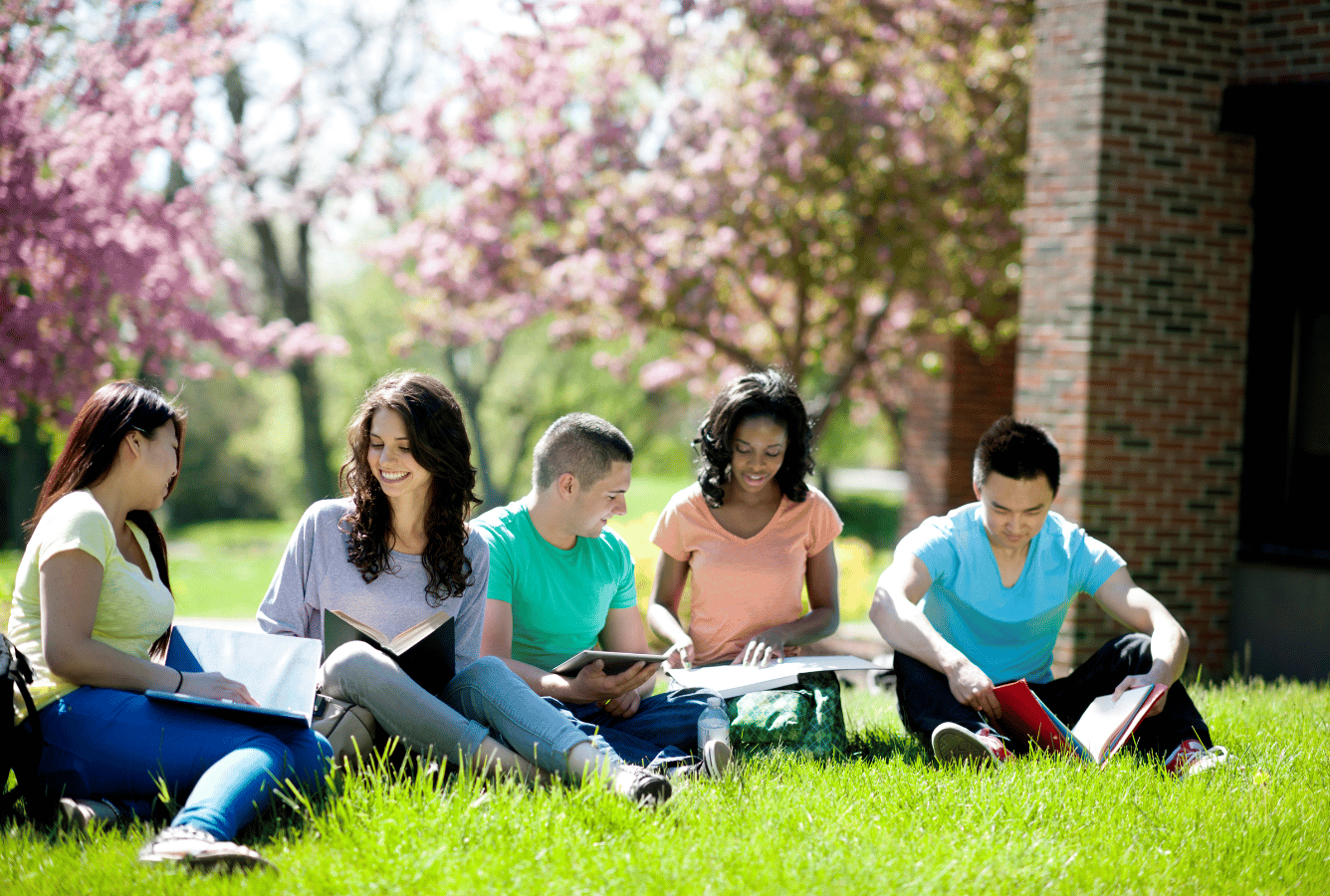 Students studying on grass